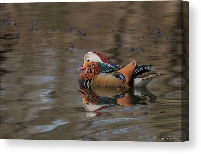 Nature Canvas Print featuring the photograph Mandarin by Wendy Cooper