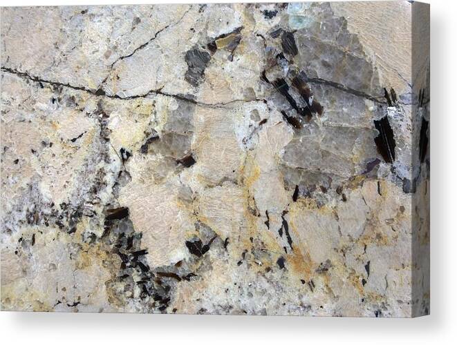 Marble Canvas Print featuring the photograph Marble Tan Black by Delynn Addams