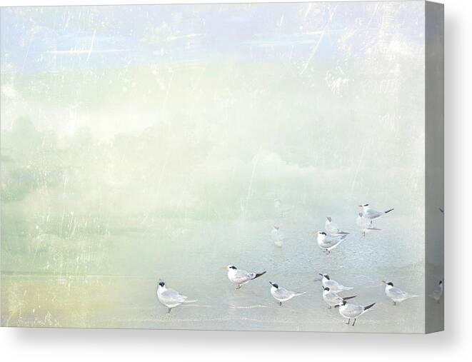Marco Island Canvas Print featuring the photograph Marco Morning by Karen Lynch