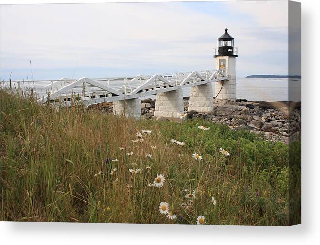 Seascape Canvas Print featuring the photograph Marshall Point Daisies by Doug Mills