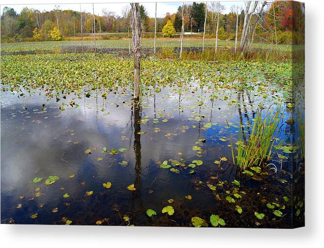 Autumn Canvas Print featuring the photograph Marshland Reflection by Beth Collins