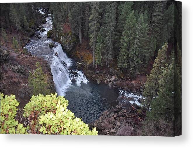 Mccloud Falls Canvas Print featuring the photograph McCloud River Falls by Maria Jansson