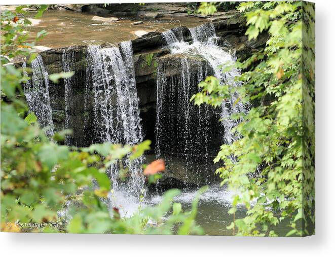 Birch River Canvas Print featuring the photograph McCoy Falls from the Road by Carolyn Postelwait