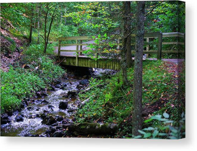 Wisconsin Canvas Print featuring the photograph Meadering by Kent Nancollas