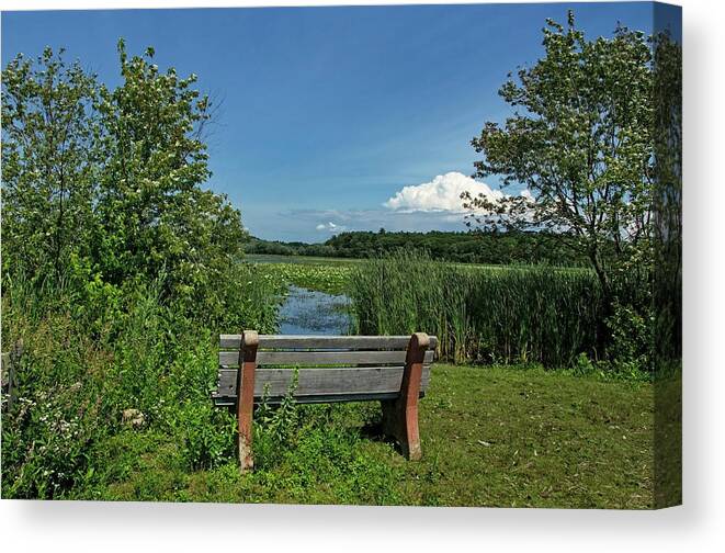 Landscape Canvas Print featuring the photograph Meadow Bench by Donna Doherty