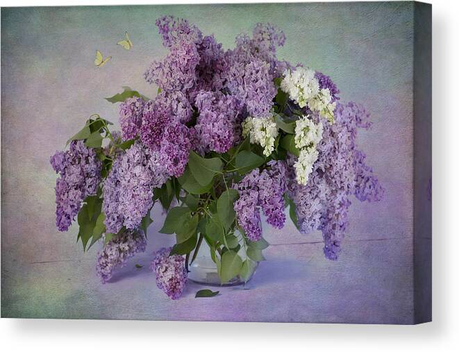 Lilac Canvas Print featuring the photograph Memories of my grandmother by Marina Kojukhova