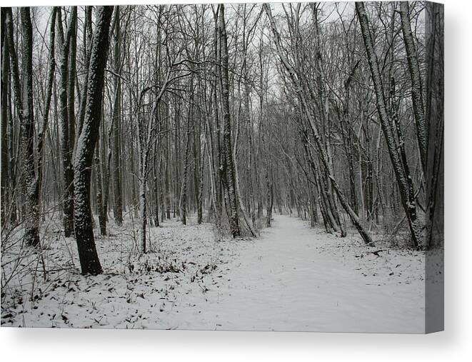 Merwin Snow Woods Canvas Print featuring the photograph Merwin Snow Woods by Dylan Punke