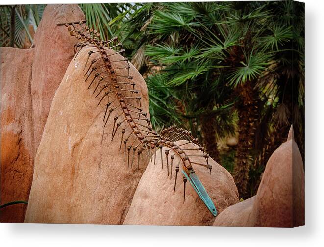 Metal Canvas Print featuring the photograph Metal Creeper by Susan McMenamin