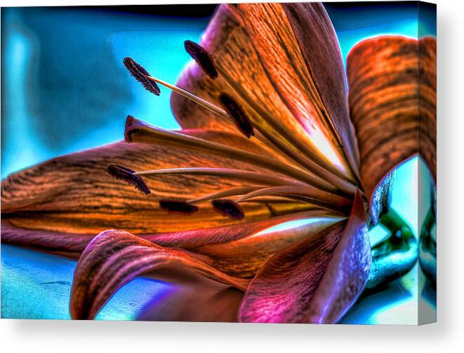 Lily Canvas Print featuring the photograph Metallic Nature by Joetta West