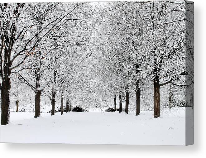 Hovind Canvas Print featuring the photograph Michigan Winter 3 by Scott Hovind
