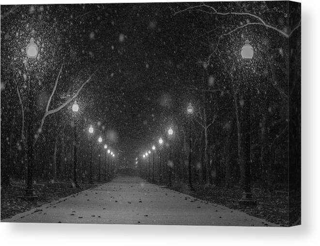 Snow Canvas Print featuring the photograph Midnight Snow Storm by Pravin Sitaraman