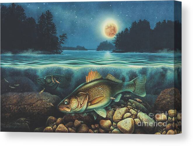 Walleye Canvas Print featuring the painting Midnight Walleye by Jon Q Wright