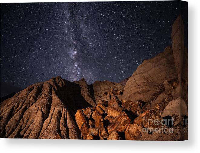 Petrified Forest Canvas Print featuring the photograph Milky Way and Petrified Logs by Melany Sarafis