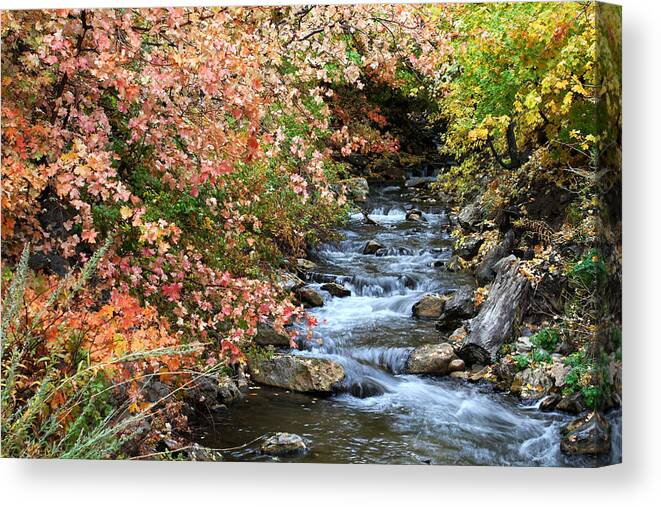 Autumn Canvas Print featuring the photograph Millcreek in Fall by Brett Pelletier