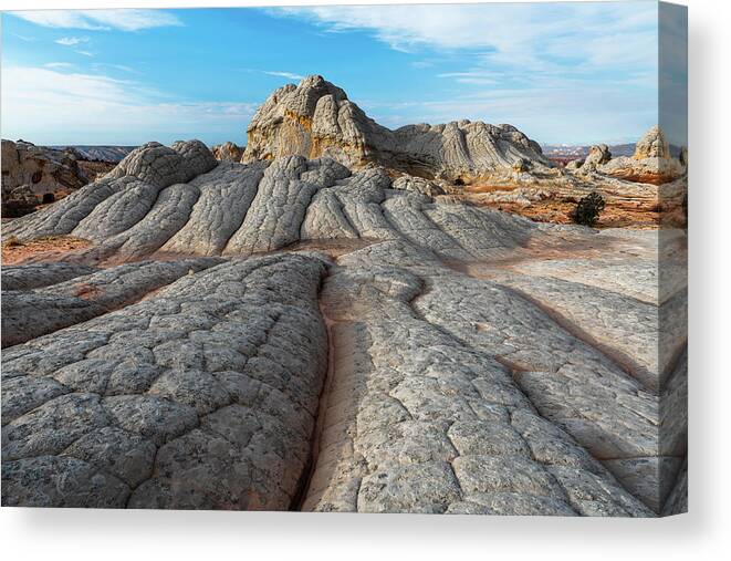Arizona Canvas Print featuring the photograph Mind over Matter by Chuck Jason