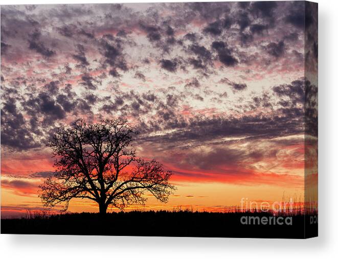 Wisconsin Canvas Print featuring the photograph Mirror Lake Tree Sunset by Ernesto Ruiz