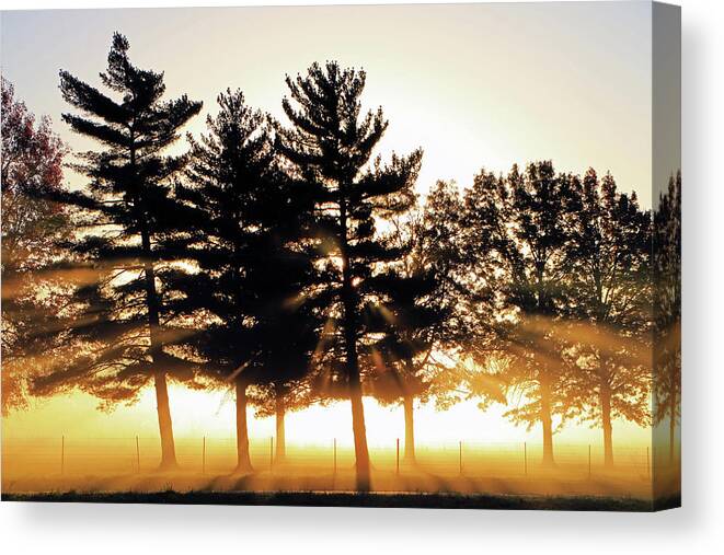 Fog Canvas Print featuring the photograph Missouri Tree Line by Christopher McKenzie