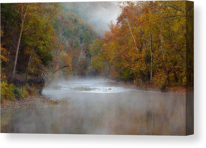 Boxely Valley Canvas Print featuring the photograph Misty Buffalo Morning by Jonas Wingfield