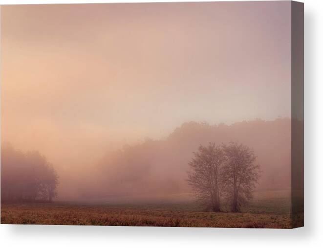 Mist Canvas Print featuring the photograph Misty Dawn by Robert Charity