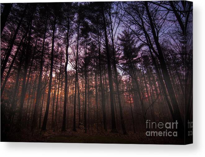 Sunset Canvas Print featuring the photograph Misty Forest Sunset by Mim White