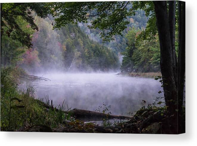Mist Canvas Print featuring the photograph Misty Morning At Pond's Shore by Ann Moore