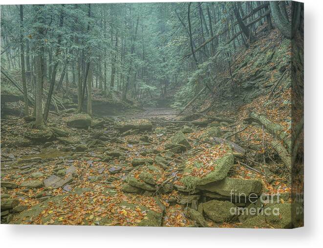 Misty Morning Woodscape Canvas Print featuring the digital art Misty Morning Woodscape Four by Randy Steele