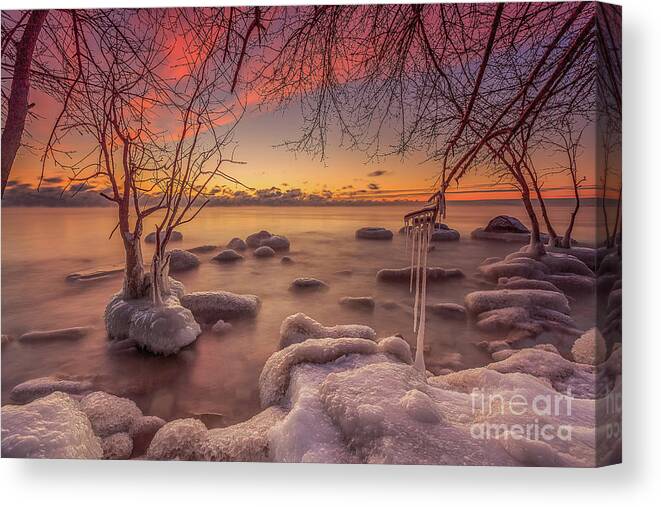 Branches Canvas Print featuring the photograph MKE Freeze by Andrew Slater