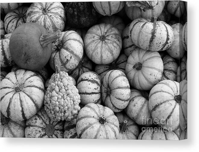 Photo For Sale Canvas Print featuring the photograph Monochrome Gourds by Robert Wilder Jr