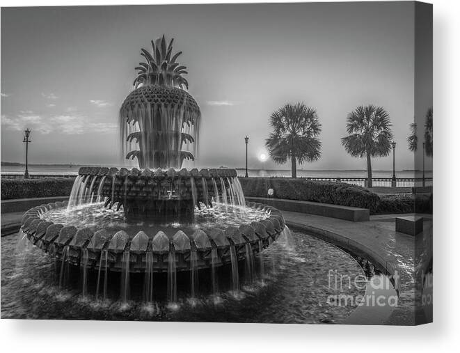 Pineapple Fountain Canvas Print featuring the photograph Monochrome Pineapple by Dale Powell