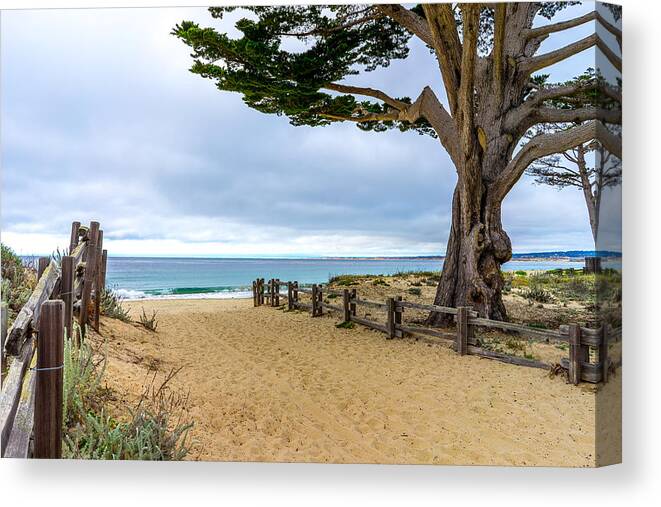 Seascape Canvas Print featuring the photograph Monterey Day by Derek Dean