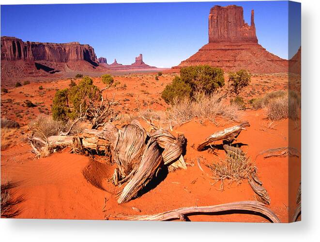 Usa Canvas Print featuring the photograph Monument Valley, Arizona, U S A by Gary Corbett