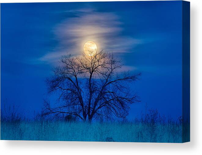 Moon Canvas Print featuring the photograph Moonrise by David Soldano