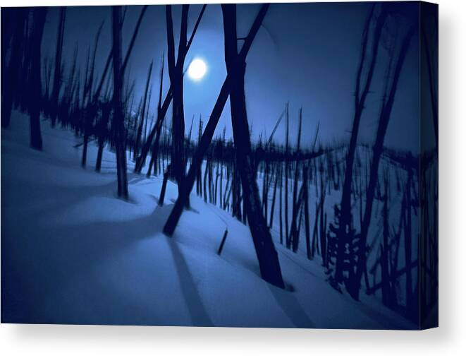 The Walkers Canvas Print featuring the photograph Moonshadows by The Walkers