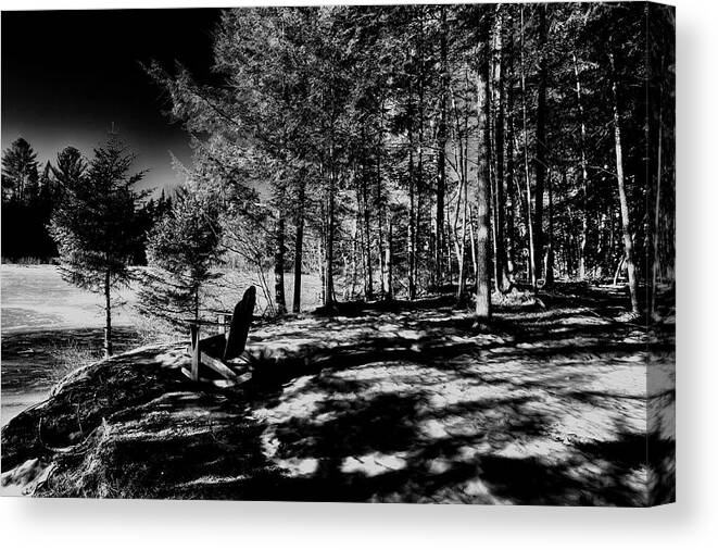 Moose River Shadows Canvas Print featuring the photograph Moose River Shadows by David Patterson