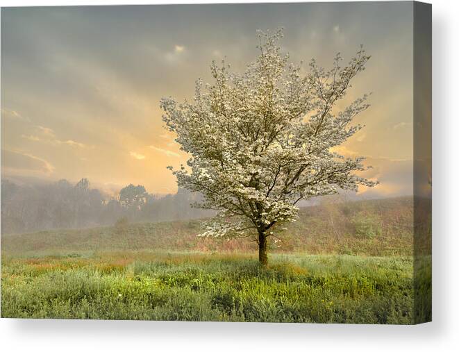 Clouds Canvas Print featuring the photograph Morning Celebration by Debra and Dave Vanderlaan