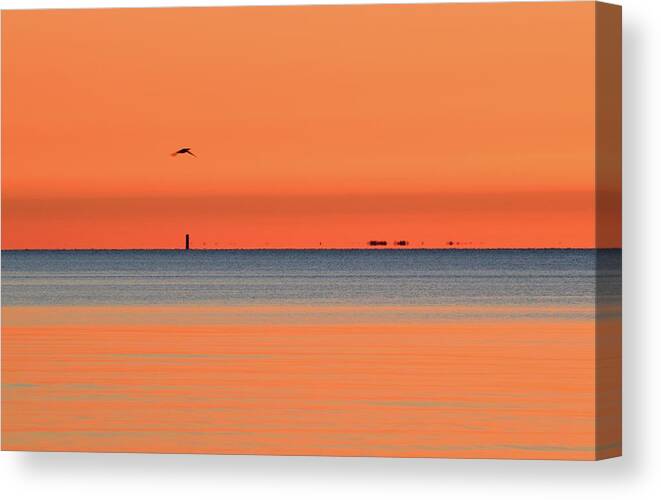 Abstract Canvas Print featuring the photograph Morning Fly By by Lyle Crump