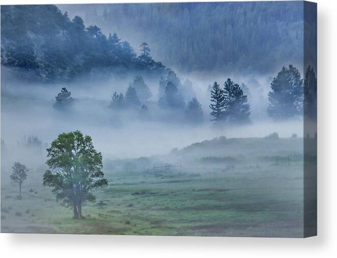 Moraine Park Canvas Print featuring the photograph Mountain Fog by James Woody