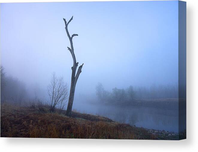 Morning Canvas Print featuring the photograph Morning Fog on the Red River by Donald Erickson