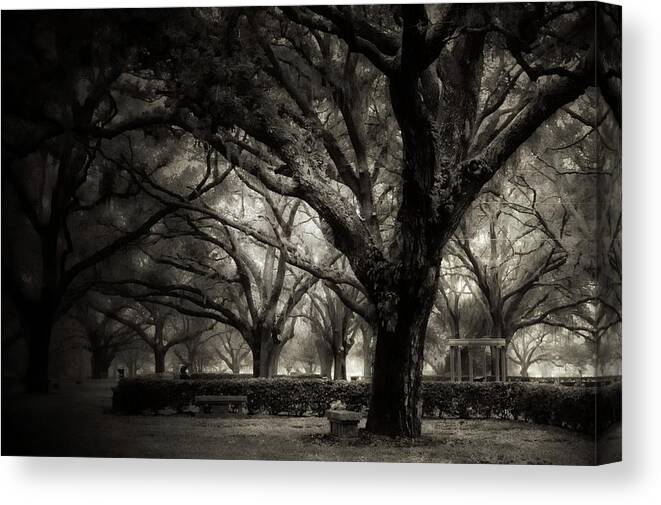  Canvas Print featuring the photograph Morning Fog by Stoney Lawrentz