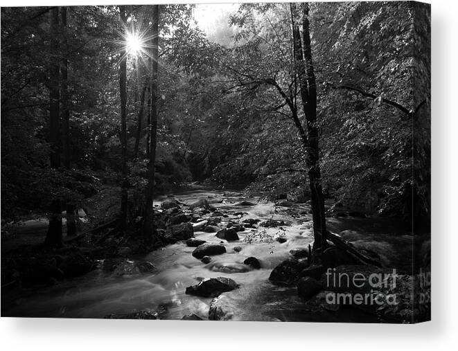 River Canvas Print featuring the photograph Morning Light On The Stream by Mike Eingle