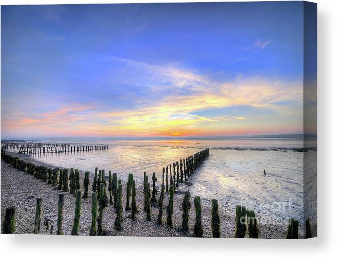 Bay Canvas Print featuring the photograph Morning River by Svetlana Sewell