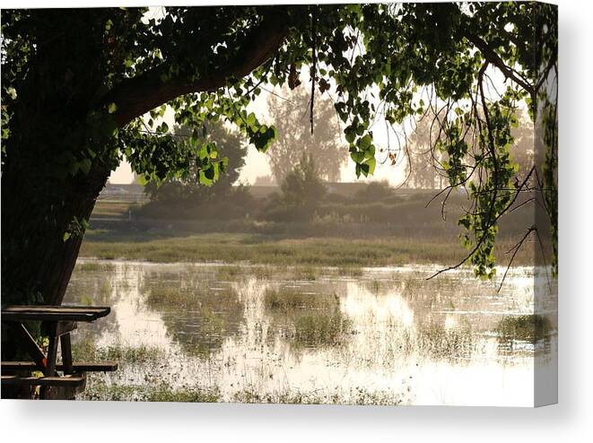 Morning Canvas Print featuring the photograph Morning Tranquility by Christy Pooschke