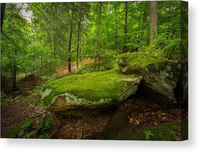 Moss Canvas Print featuring the photograph Mossy Rocks In Little Creek Park by Shane Holsclaw