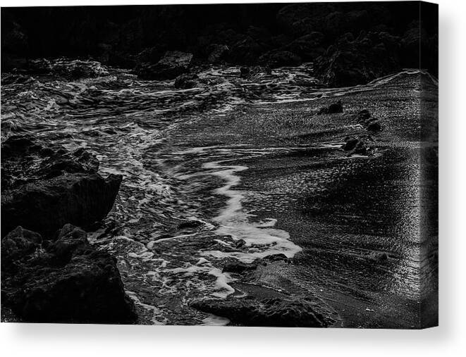 Movement Canvas Print featuring the photograph Motion in Black and White by Nicole Lloyd