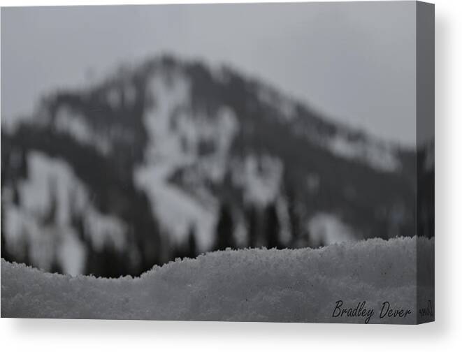 Snow Canvas Print featuring the photograph Motivation by Bradley Dever