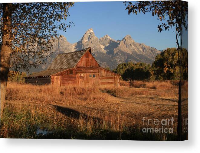 Moulton Barn Canvas Print featuring the photograph Moulton Barn at Sunrise by Edward R Wisell