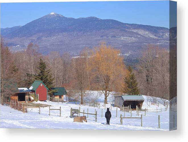 Green Mountains Canvas Print featuring the photograph Mount Abraham and Winter Farm Green Mountains by John Burk