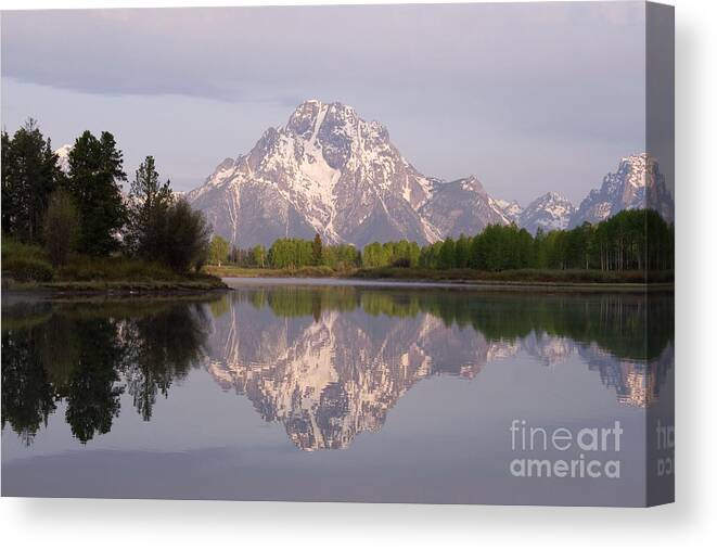 Tetons Canvas Print featuring the photograph Mount Moran by Reva Dow