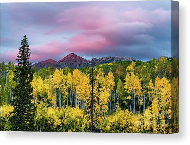 Crested Butte Canvas Print featuring the photograph Mount Owen, Ruby Peak and the Grand Dike in Fall storm clouds by Tibor Vari