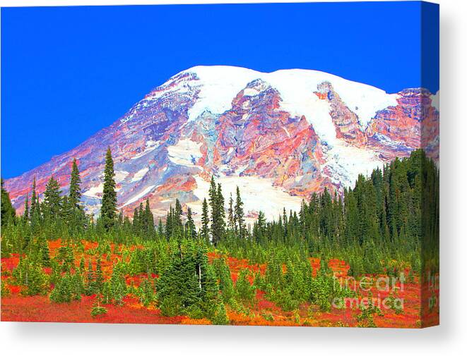 Landscape Canvas Print featuring the photograph Mount Rainier by David Frederick